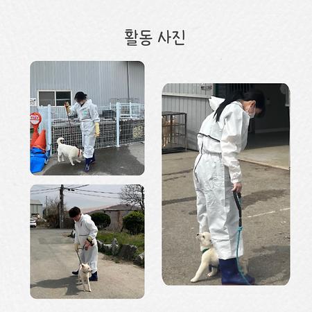'걸음'(지역사회 봉사동아리) 3월 첫째 주활동 (부산동물보호센터)